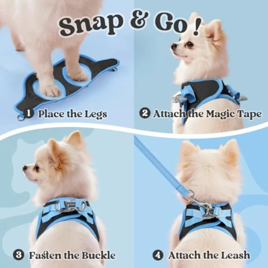 Dog Harness Small Sized and Leash Set, Step in Soft Vest Breathable Mesh, Easy Wear with Hook and Loop, Light and Reflective fo