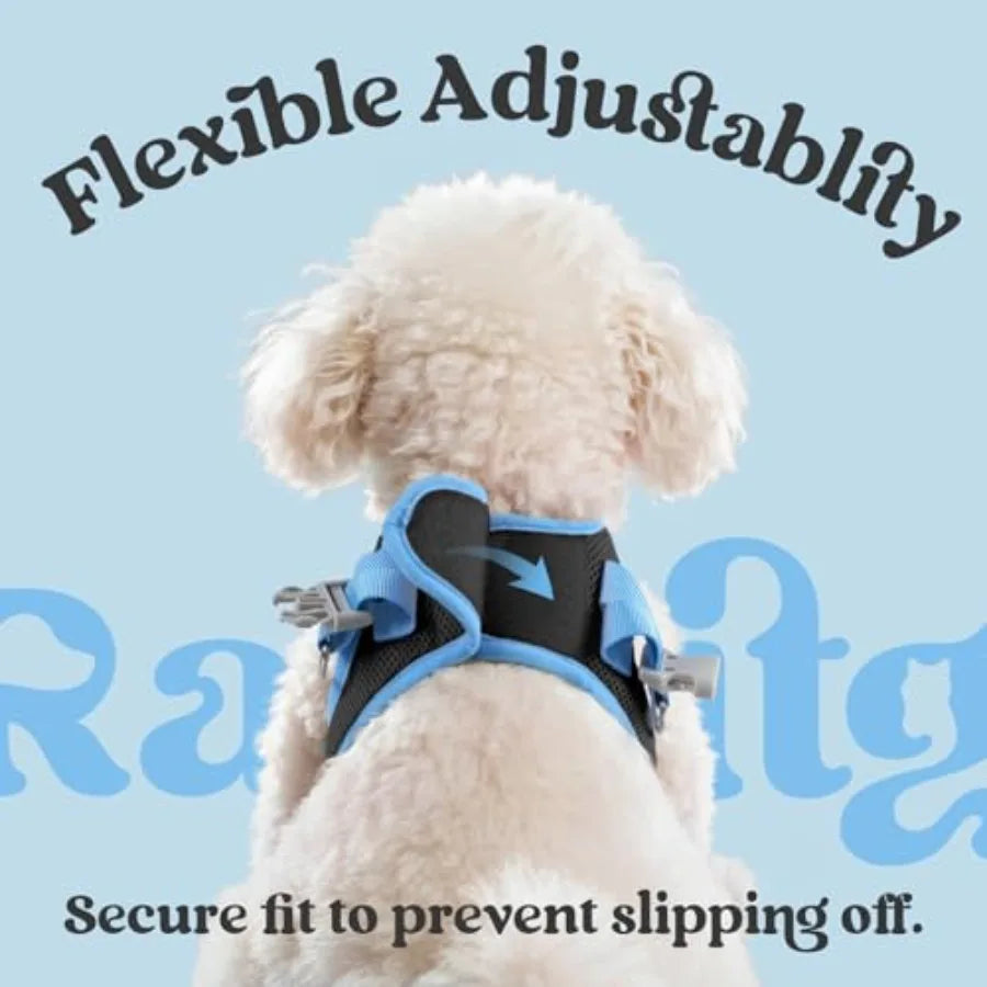 Dog Harness Small Sized and Leash Set, Step in Soft Vest Breathable Mesh, Easy Wear with Hook and Loop, Light and Reflective fo
