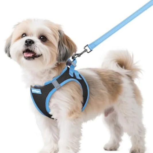 Dog Harness Small Sized and Leash Set, Step in Soft Vest Breathable Mesh, Easy Wear with Hook and Loop, Light and Reflective fo