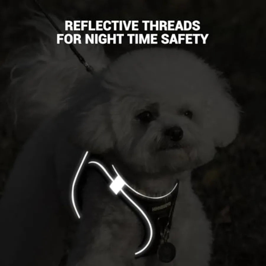 Dog Harness and Leash Set, Dog Harness for Dogs No Pull, No-Chock Step-in Reflective Breathable Lightweight Easy Walk Vest Harn