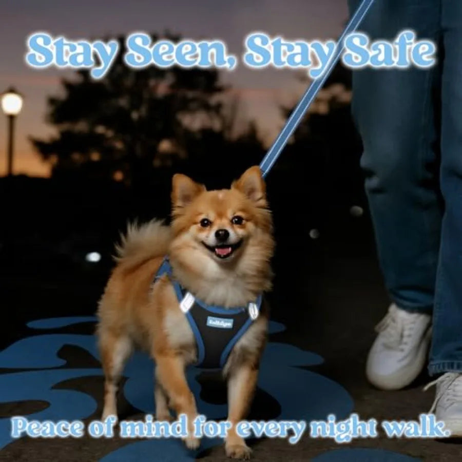 Dog Harness Small Sized and Leash Set, Step in Soft Vest Breathable Mesh, Easy Wear with Hook and Loop, Light and Reflective fo