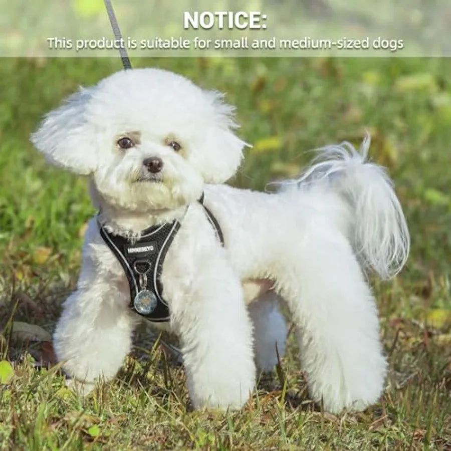 Dog Harness and Leash Set, Dog Harness for Dogs No Pull, No-Chock Step-in Reflective Breathable Lightweight Easy Walk Vest Harn